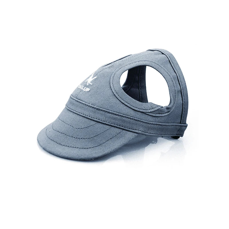 Casquette pour chiens