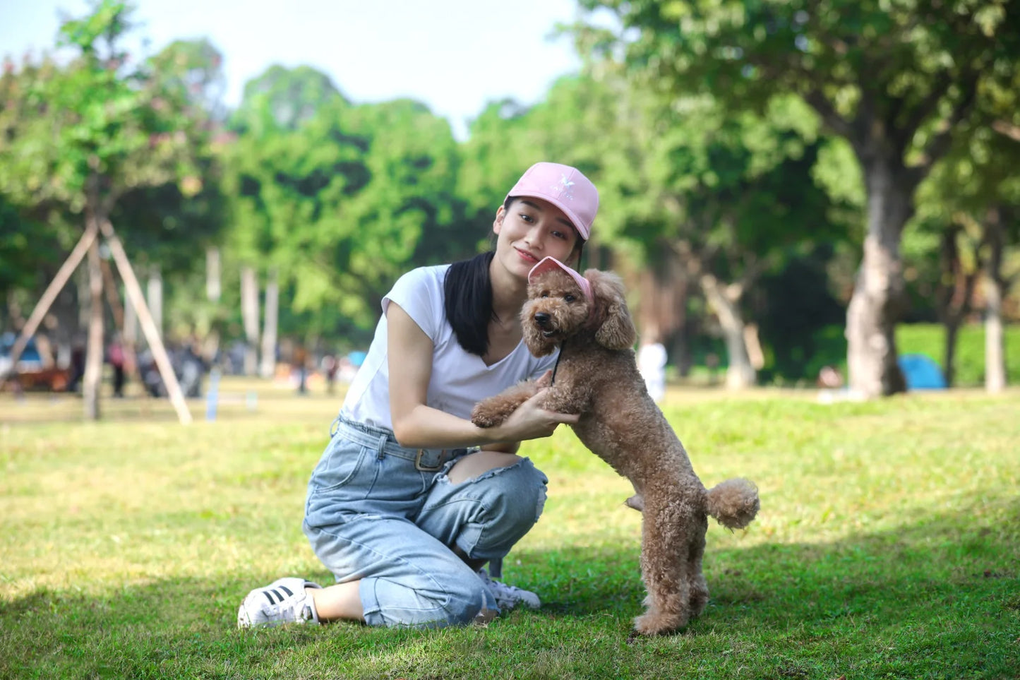 Casquette pour chiens