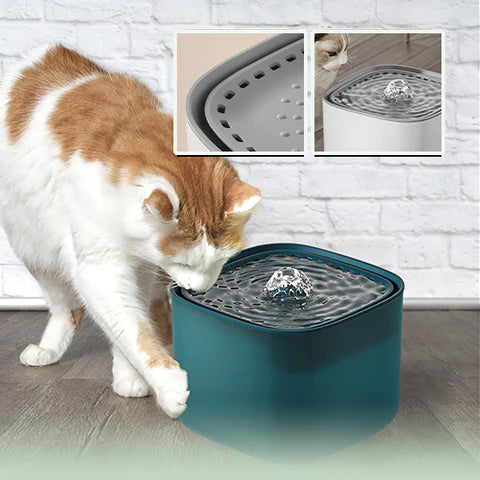 Distributeur d'Eau et Croquettes Automatique